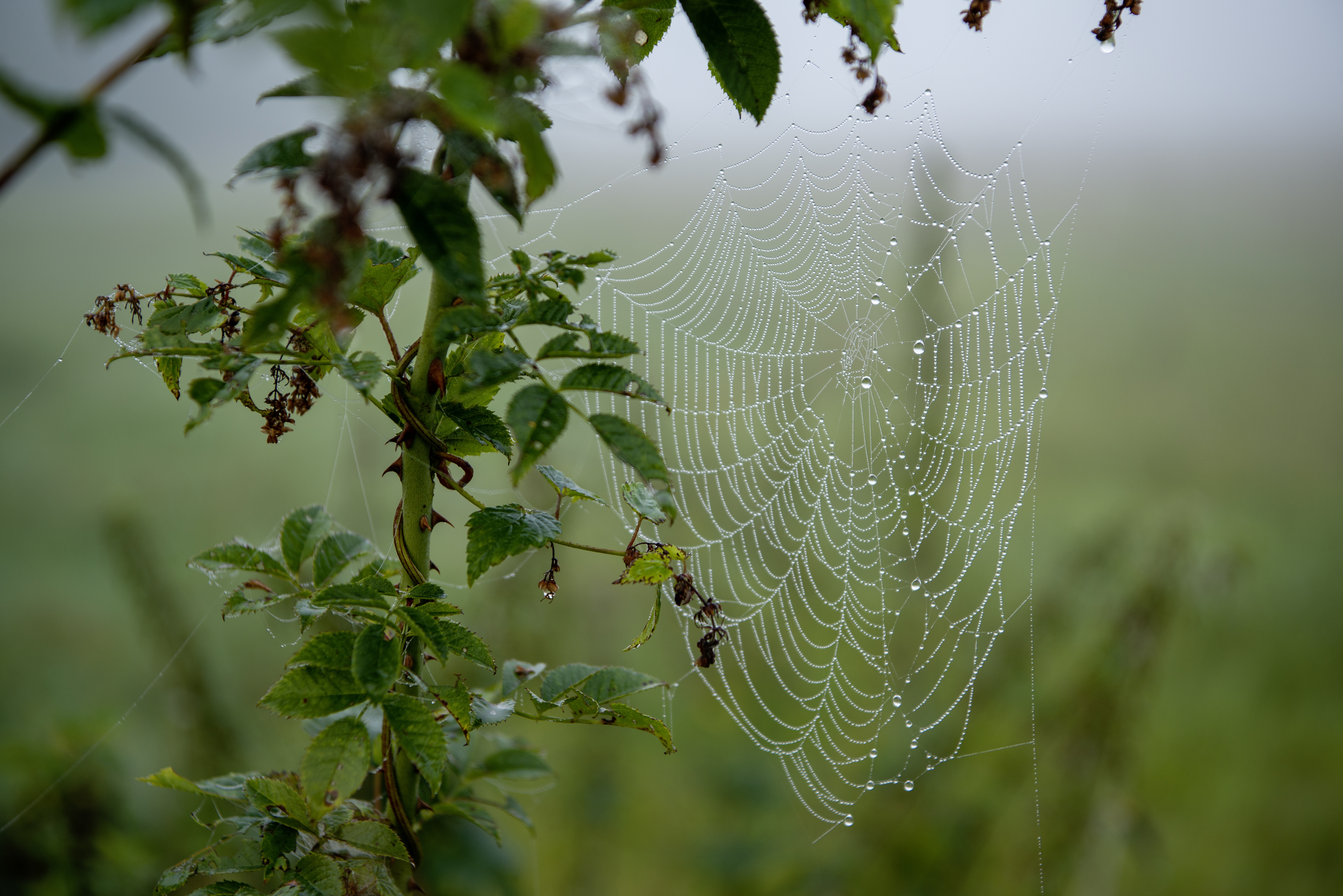 Jahresreflexion für Führungskräfte
