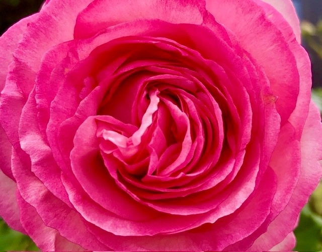 FrauSein - Ein Workshop zum Ankommen