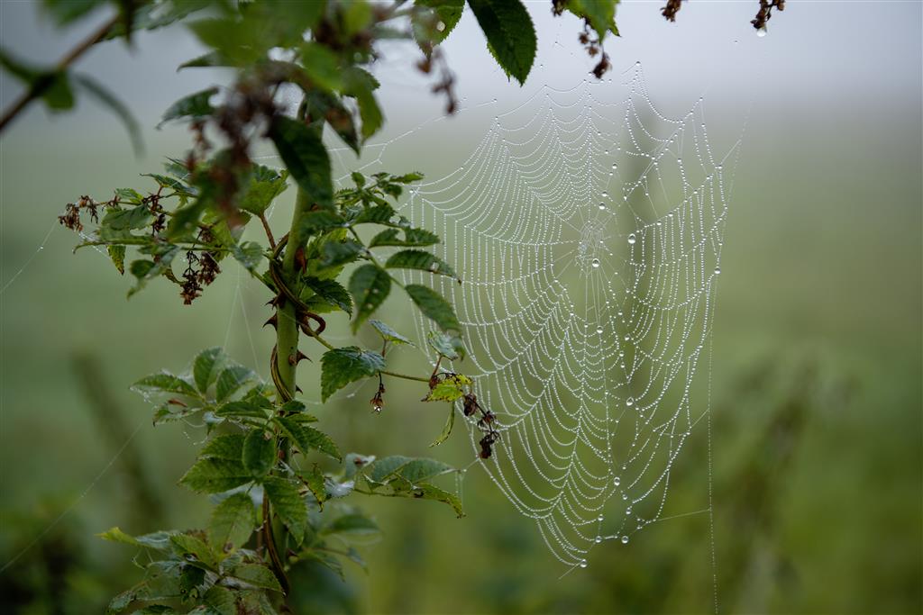 Jahresreflexion für Führungskräfte